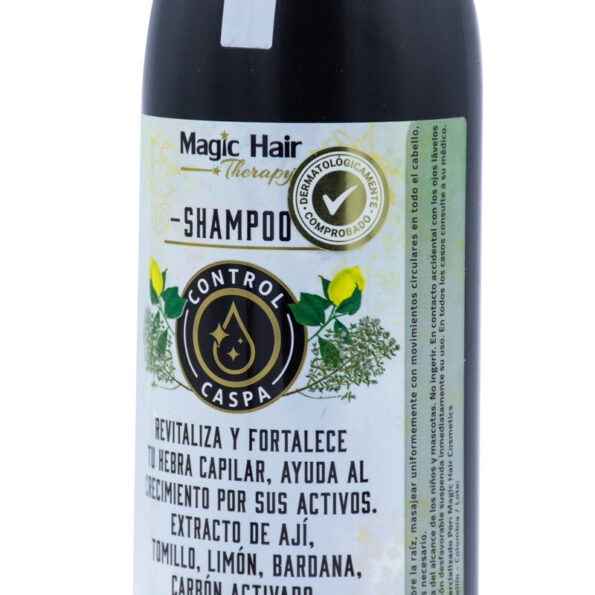 Magic Hair Shampoo Control de Caspa (2)